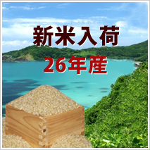 こしひかり