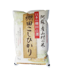 阿蘇産山村産 棚田こしひかり